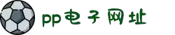 PP电子(中国)有限公司官网
